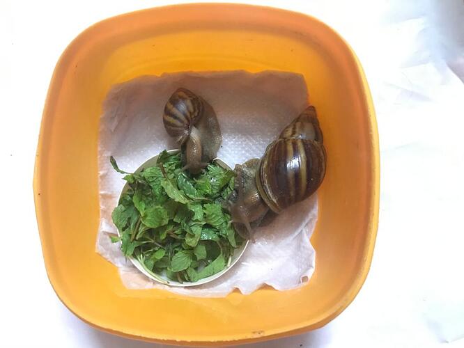 WhatsApp Image 2020-10-17 at 5.57.37 PM