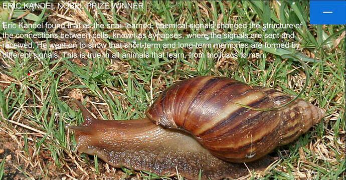 WhatsApp Image 2020-10-17 at 10.21.23 PM