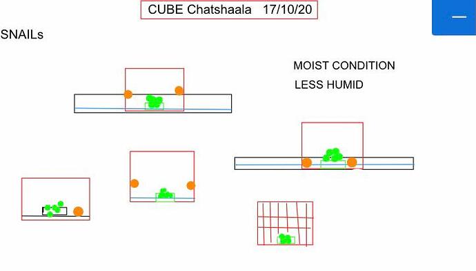 WhatsApp Image 2020-10-17 at 10.21.22 PM