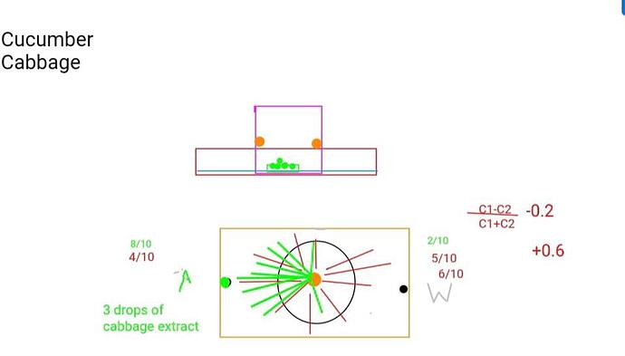 WhatsApp Image 2020-10-17 at 10.21.23 PM (1)