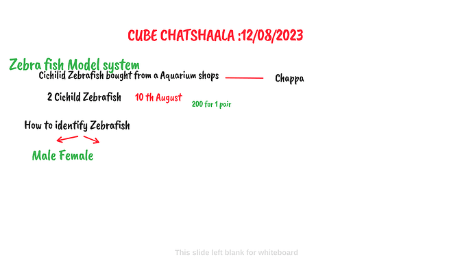 Presentation_CUBE chatShaala_2023-08-12T16_13_56.961Z