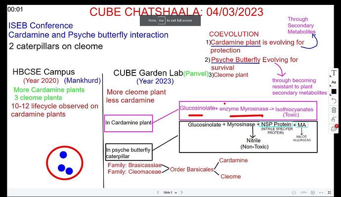 WhatsApp Image 2023-03-04 at 10.36.19 PM