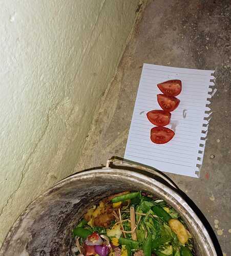 IMG-20250124-WA0044