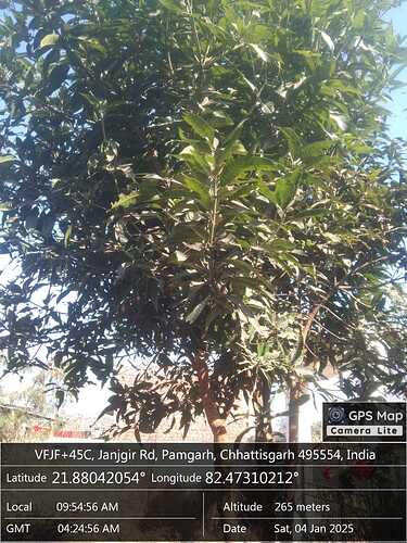 WhatsApp Image 2025-01-04 at 8.58.27 PM