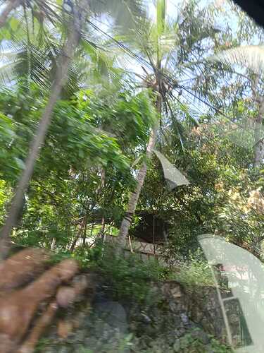 WhatsApp Image 2024-11-06 at 5.27.37 PM
