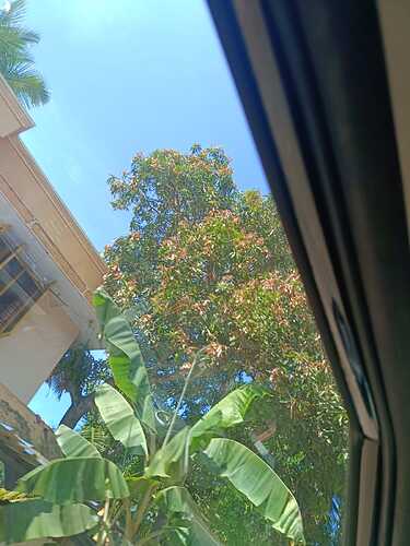 IMG-20241206-WA0131