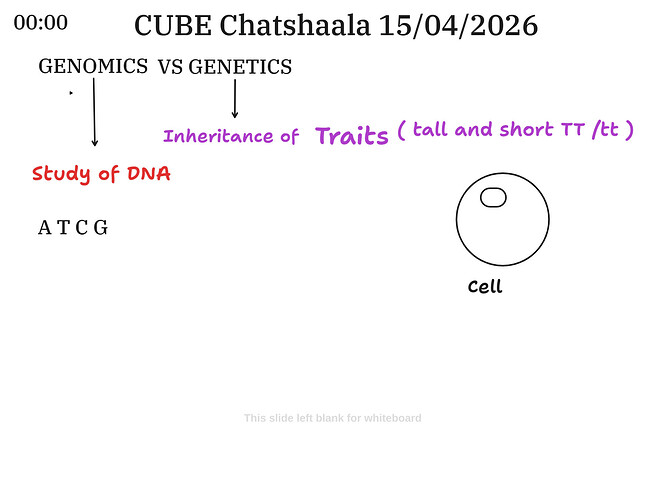 Presentation__2026-04-15T15_30_25.972Z