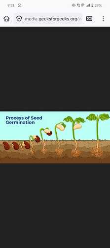 b94f706c-0163-46a7-9be0-a1a83aed2cbe