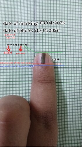 Presentation__2026-04-20T14_58_58.645Z