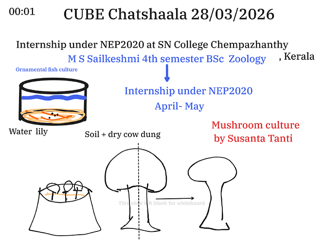 Presentation__2026-03-28T15_17_21.335Z