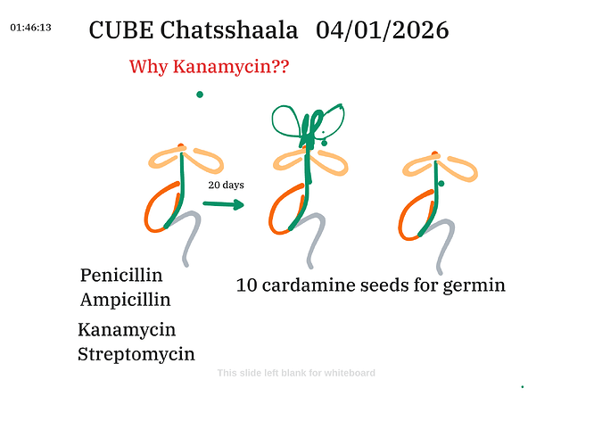 Presentation__2026-01-04T16_07_32.946Z