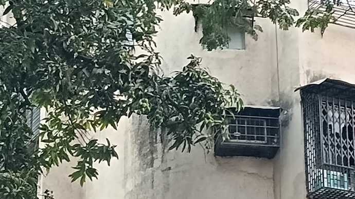 80915c3b-c279-480e-9a19-18d7294ddc53