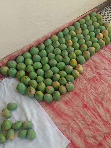 IMG-20250514-WA0046