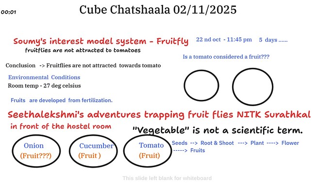 bef9ff51-a8dd-4ad9-967c-8297eeea47e7