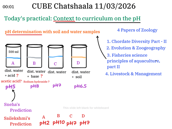 Presentation__2026-03-11T15_46_06.541Z