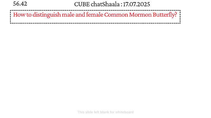 Presentation_CUBE chatShaala_2025-07-17T16_06_35.779Z
