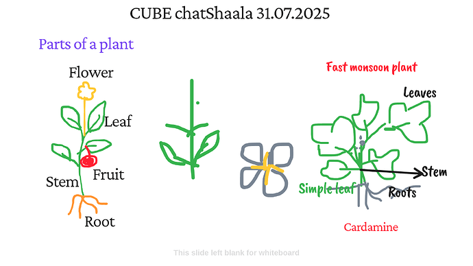 Presentation_CUBE chatShaala_2025-07-31T16_13_26.635Z