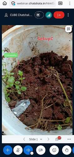 IMG-20250925-WA0039