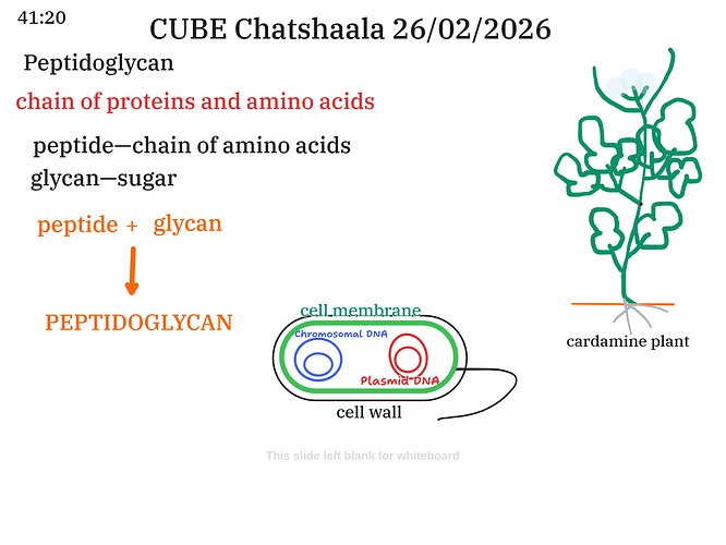 Presentation__2026-02-26T15_52_18.639Z
