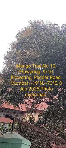 WhatsApp Image 2025-01-08 at 6.39.35 PM