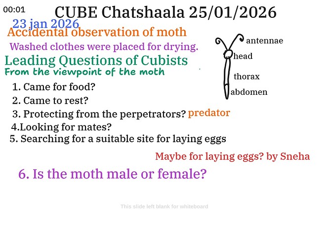 WhatsApp Image 2026-01-25 at 9.49.31 PM