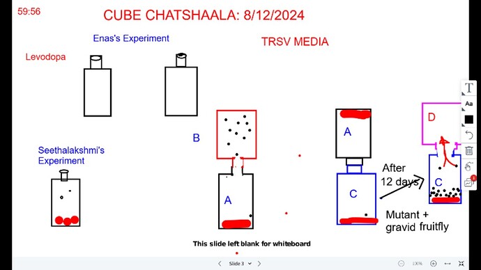 WhatsApp Image 2024-12-08 at 9.56.33 PM