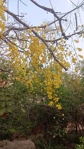 IMG-20250412-WA0046