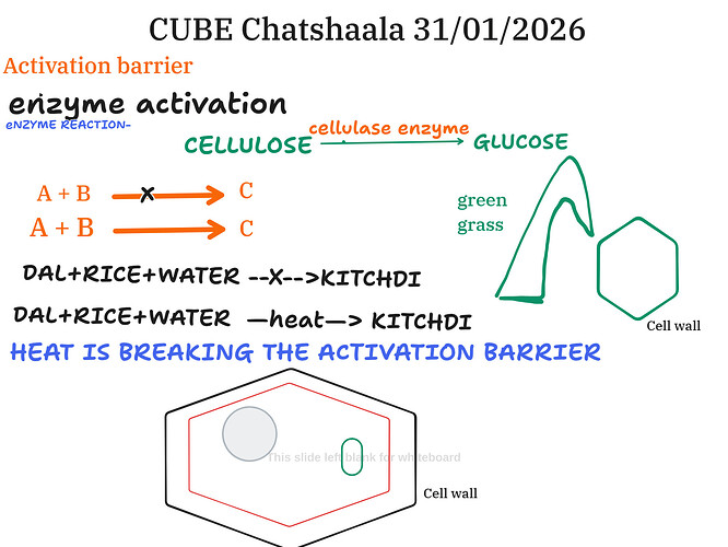 Presentation__2026-01-31T15_34_16.401Z
