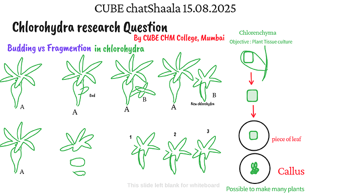 Presentation_CUBE chatShaala_2025-08-15T16_07_36.114Z