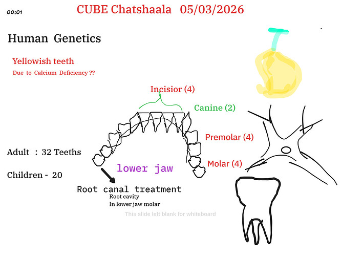 Presentation__2026-03-05T15_59_25.828Z