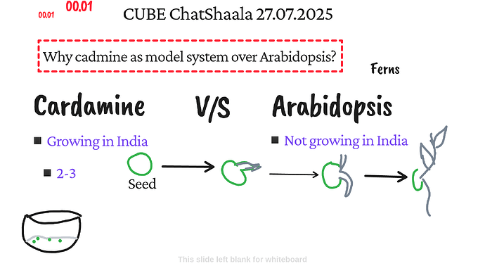 Presentation_CUBE chatShaala_2025-07-27T16_09_17.100Z
