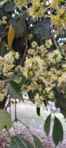 IMG-20250404-WA0063