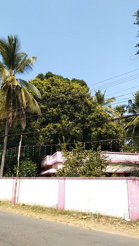 IMG-20250120-WA0076