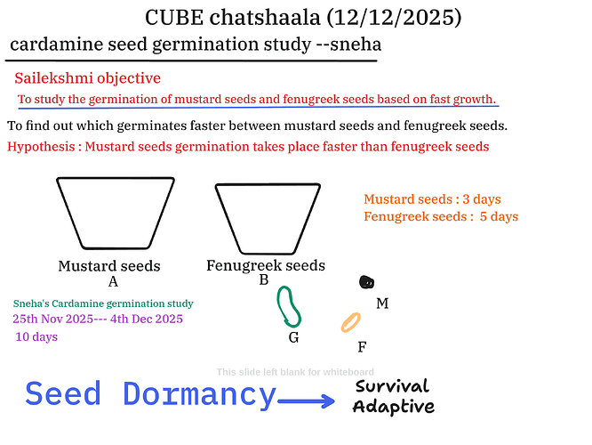 Presentation__2025-12-12T15_35_34.036Z