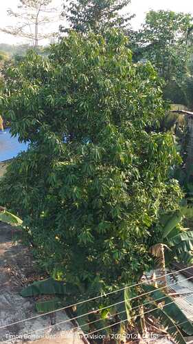 IMG-20250122-WA0019