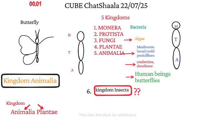 Presentation_CUBE chatShaala_2025-07-22T16_04_49.327Z