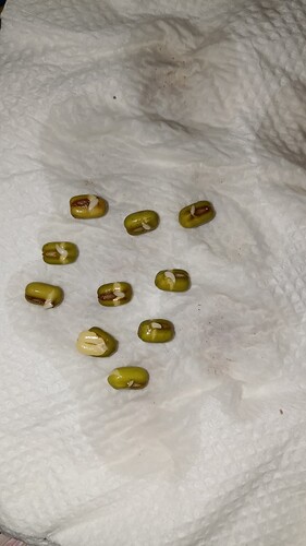 IMG-20250913-WA0003