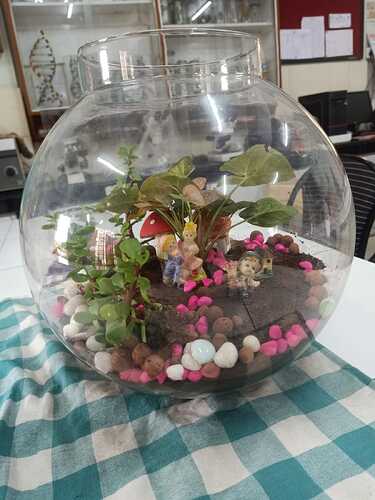 7d0b0215-c2cb-4ced-bbfe-15100c088583