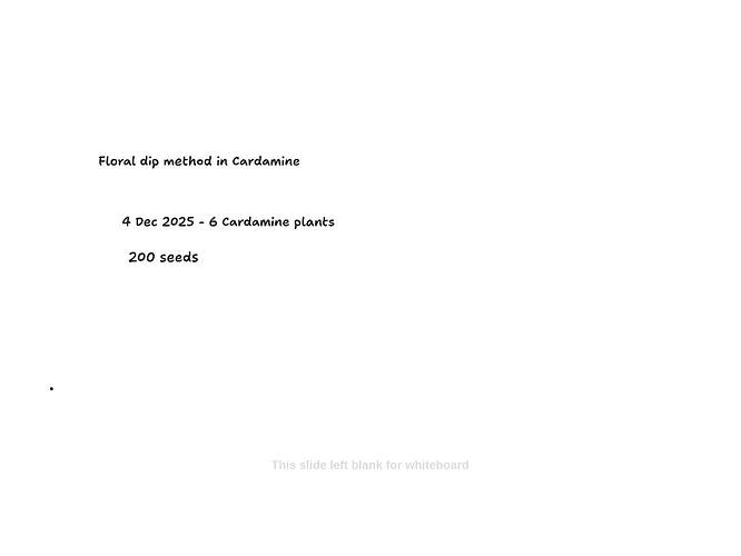 51eb5016-508c-4b87-9c8b-f73e3f599576