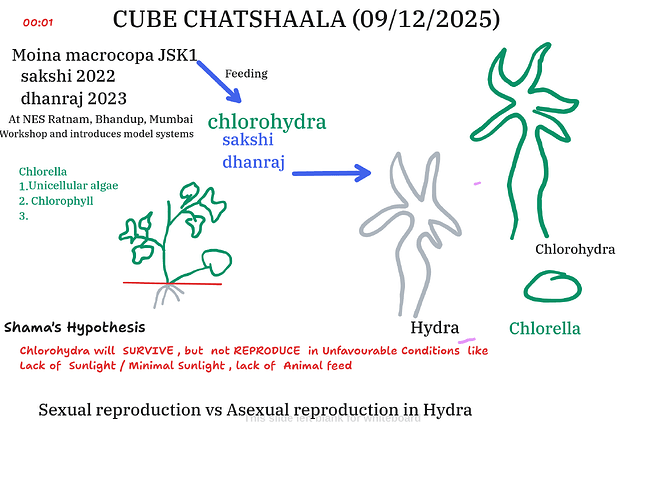 Presentation__2025-12-09T16_00_36.846Z