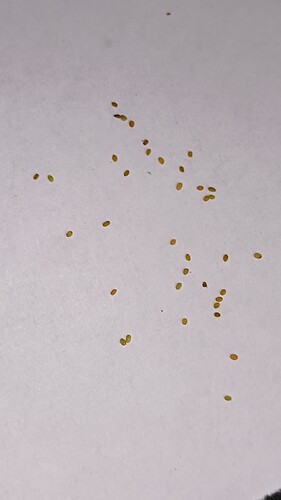 Presentation_CUBE chatShaala_2025-08-10T16_06_57.623Z