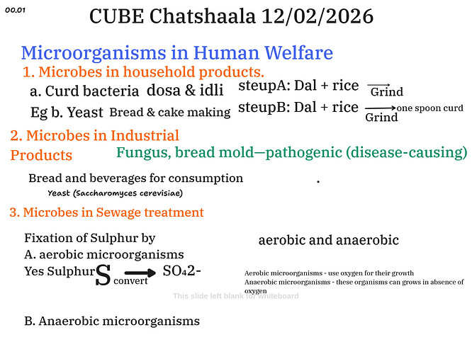 bfbe9ffe-8029-4237-93e6-613413872357