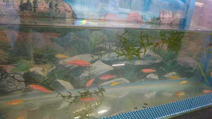 IMG-20250208-WA0095