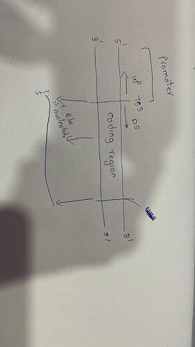 IMG-20250305-WA0111