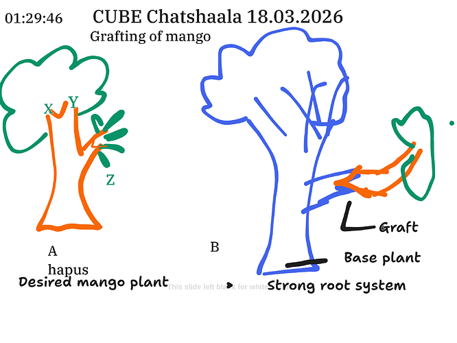 Presentation__2026-03-18T16_00_36.876Z