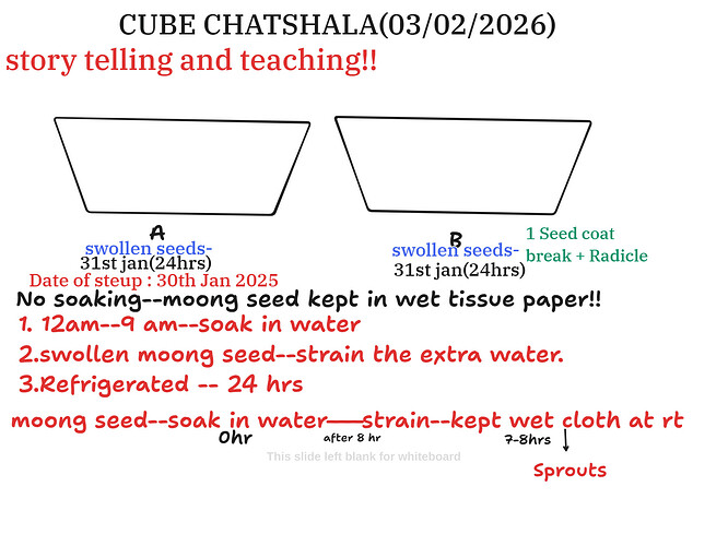 Presentation__2026-02-03T15_38_54.404Z