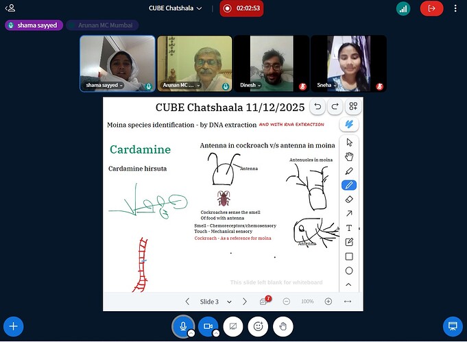 Screenshot 2025-12-11_PARTICIPANTS