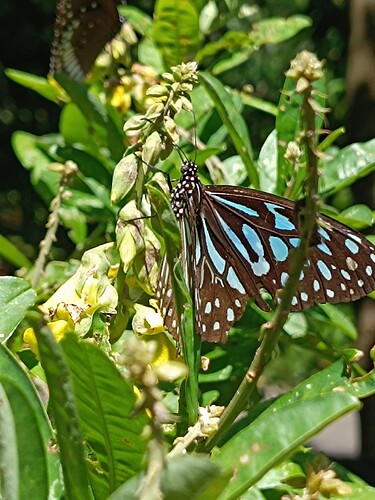 Picsart_25-11-07_18-46-53-545