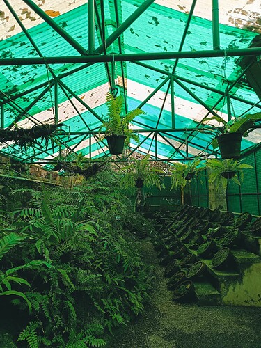 Picsart_25-11-07_18-49-02-061