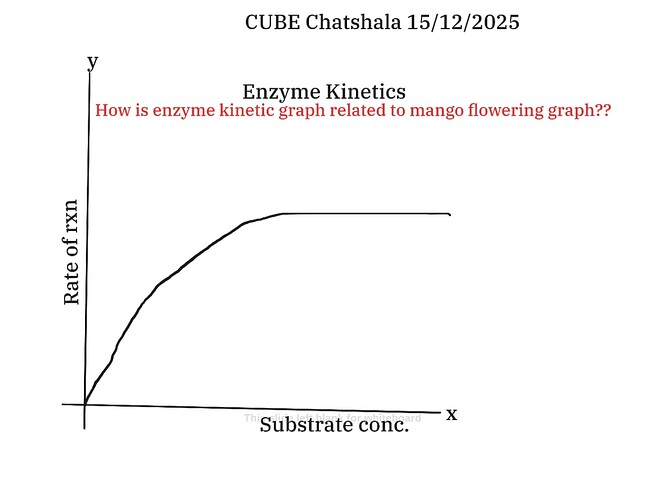 WhatsApp Image 2025-12-15 at 21.52.33_64cf42ba